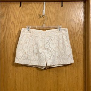 BCBG lace chino shorts